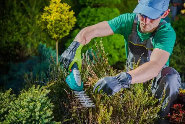 landscaping services Morenci